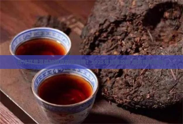 庆沣祥普洱茶加盟