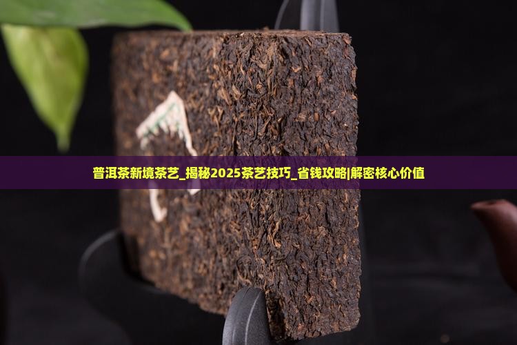 普洱茶新境茶艺