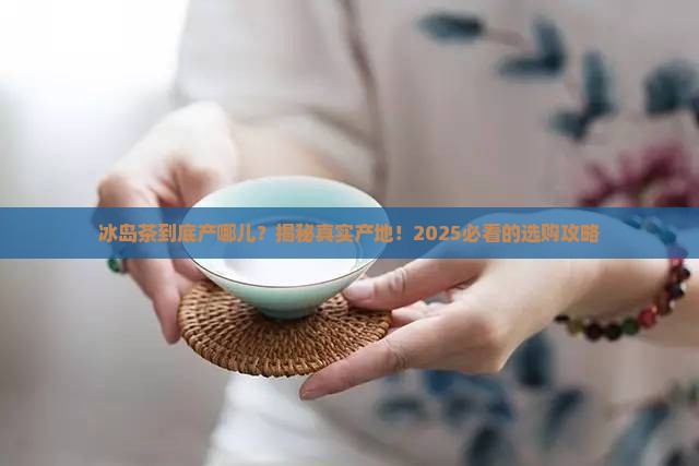 冰岛茶是是哪里产的哪里的