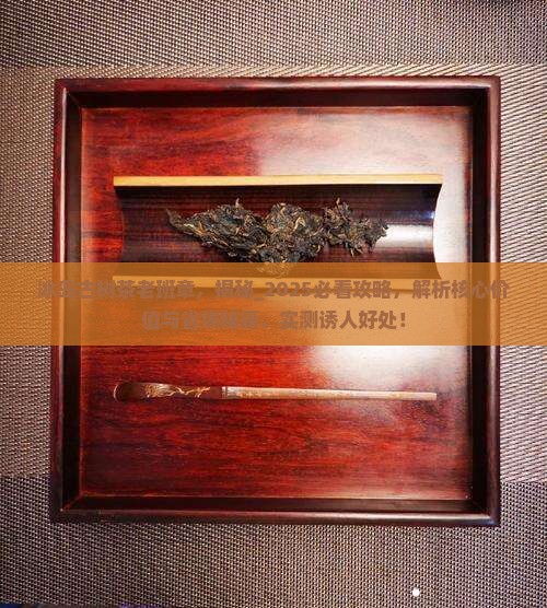 冰岛古树茶老班章