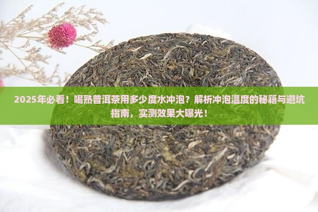喝熟普洱茶用多少度水冲泡