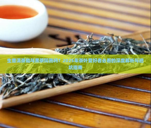 生普洱茶可以与黑茶同熟