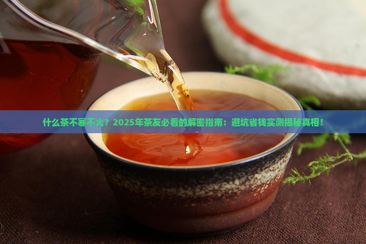什么茶不寒不火
