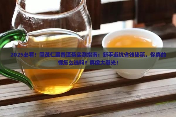 同茂仁藏普洱茶