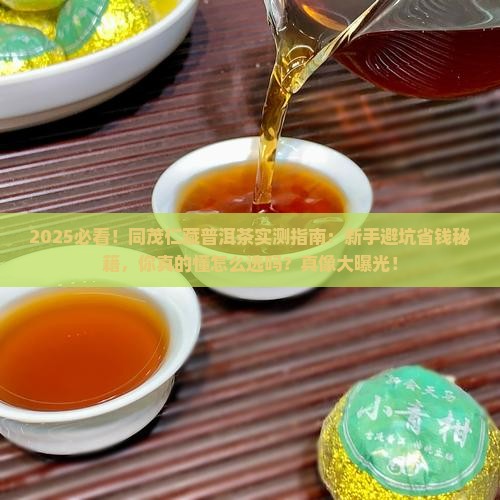 同茂仁藏普洱茶