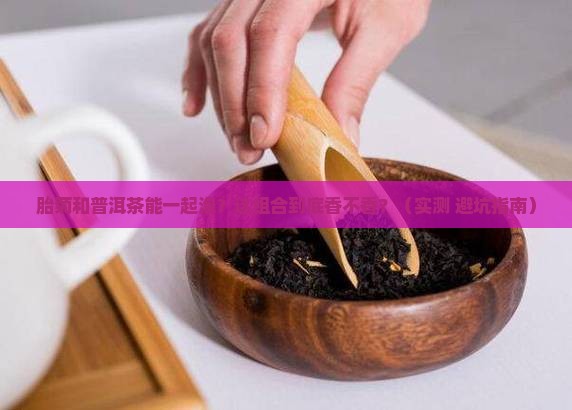 胎菊和普洱茶一起泡