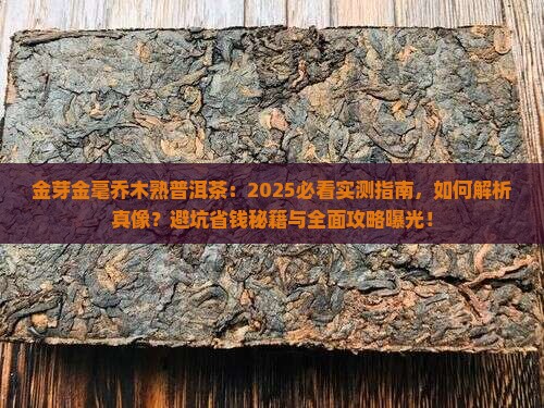 金芽金毫乔木熟普洱茶