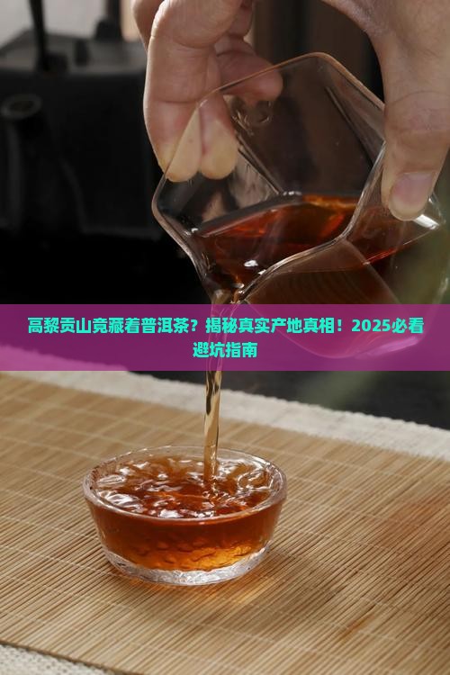 高黎贡山是否有普洱茶