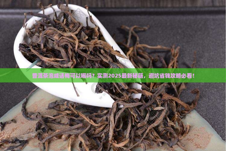 普洱茶泡咸话梅可以喝吗