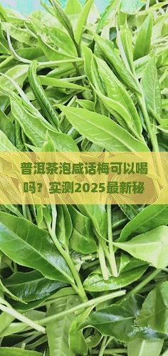 普洱茶泡咸话梅可以喝吗