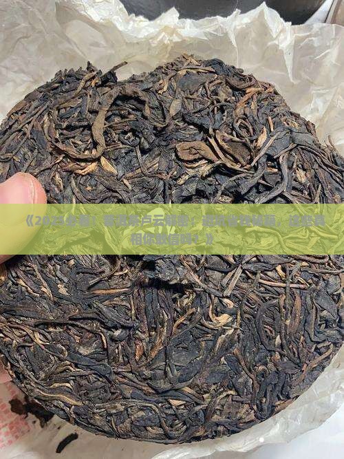 普洱茶卢云写的书