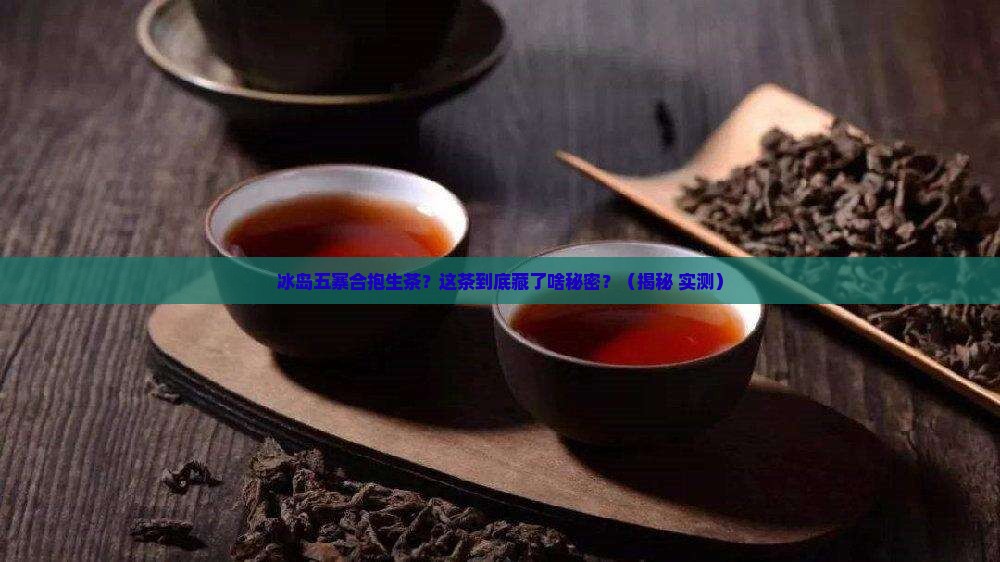 冰岛五寨合抱生茶