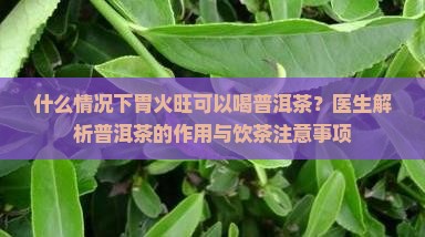 胃火旺是可以喝普洱茶吗