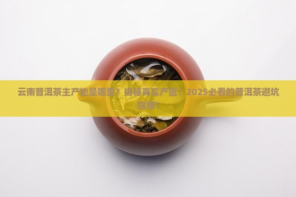 云南普洱茶主产地是哪里