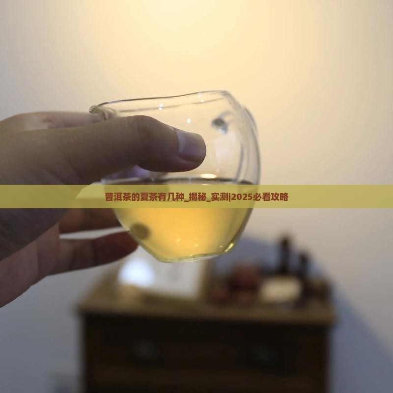 普洱茶的夏茶有几种