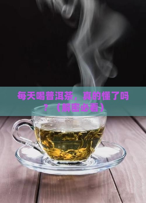 每日懂点普洱茶