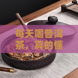 每日懂点普洱茶