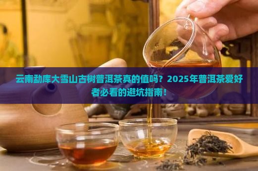 云南勐库大雪山古树普洱茶