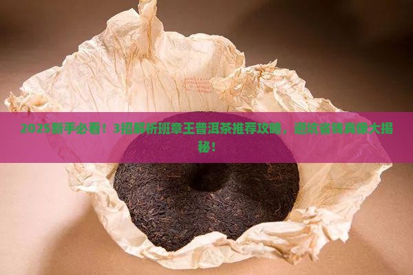班章王普洱茶推荐
