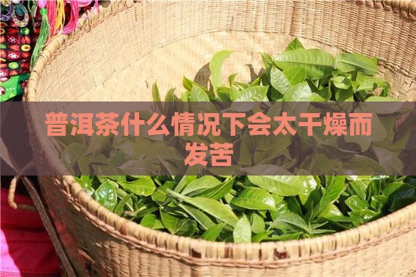 普洱茶太干燥会苦吗