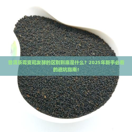普洱茶霉变和发酵的区别