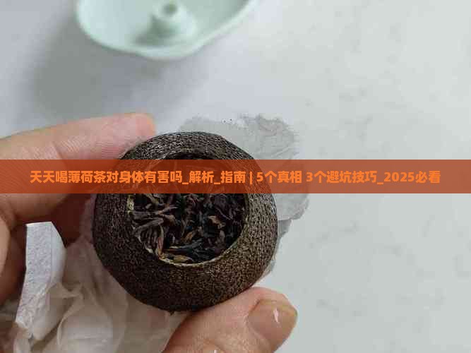 天天喝薄荷茶对身体有害吗