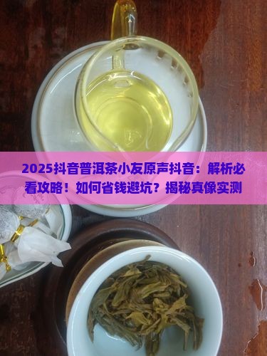 抖音普洱茶小友原声抖音