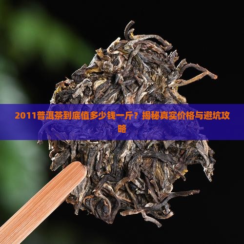 2011普洱茶多少钱一斤啊