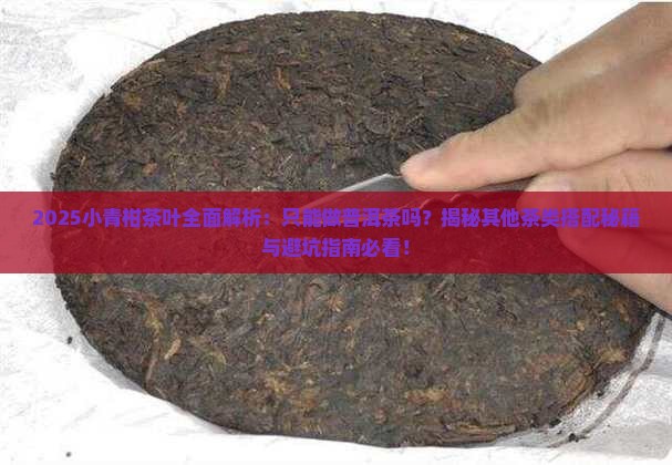 小青柑只能做普洱茶吗为什么