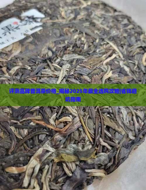 评测品牌普洱茶价格