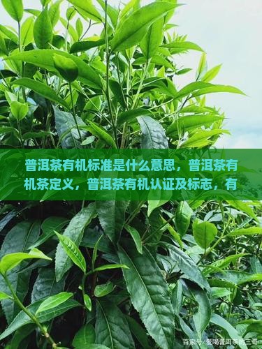普洱茶有机标准是什么意思