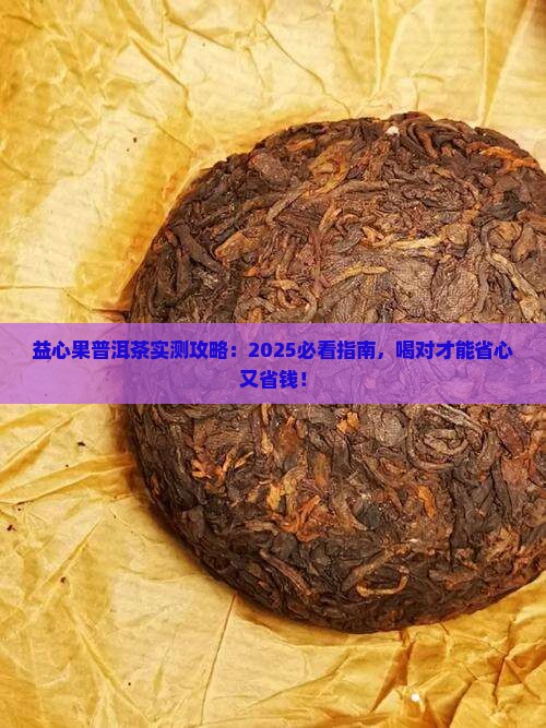 益心果普洱茶怎样喝