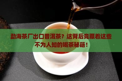 勐海茶厂出口普洱茶