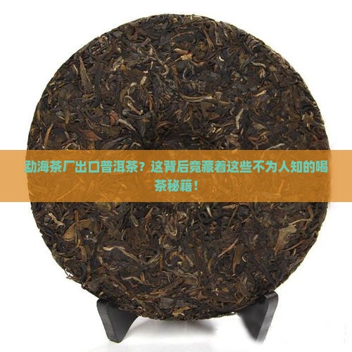 勐海茶厂出口普洱茶