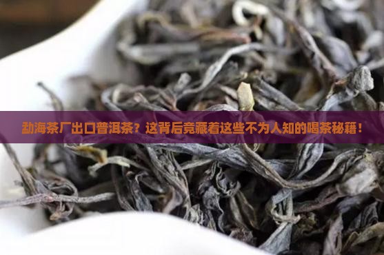 勐海茶厂出口普洱茶