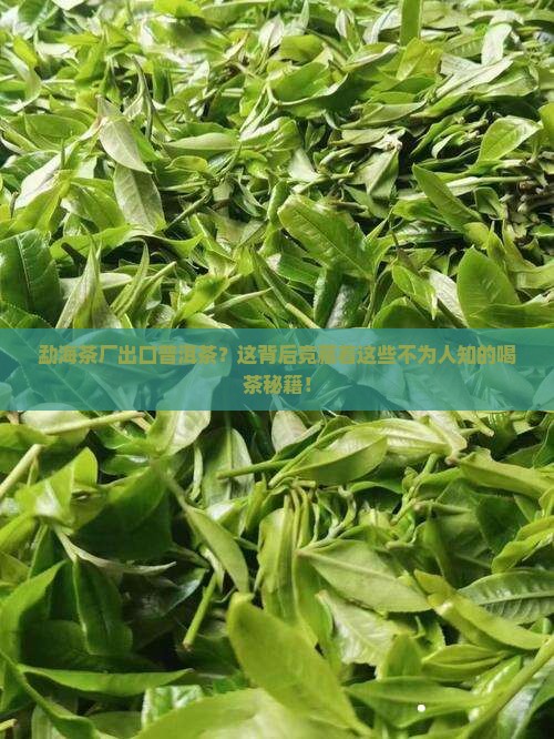 勐海茶厂出口普洱茶