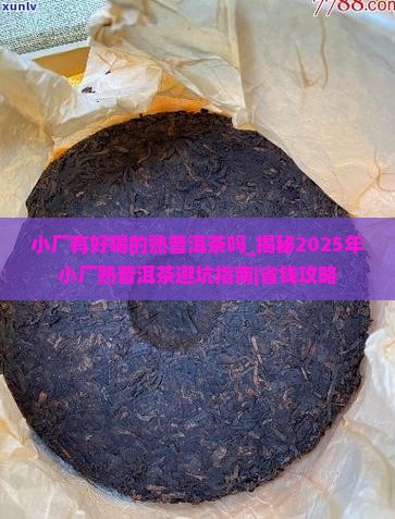 小厂有好喝的熟普洱茶吗