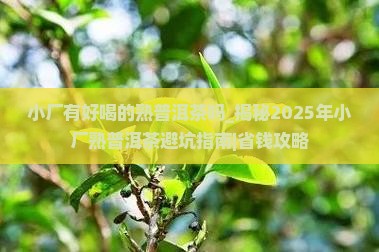 小厂有好喝的熟普洱茶吗