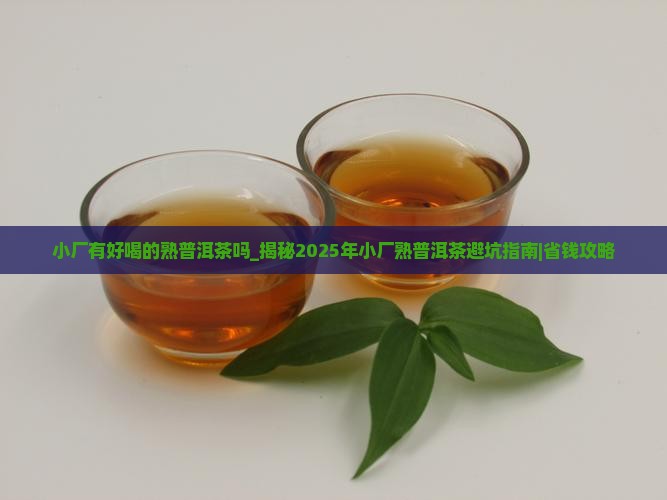 小厂有好喝的熟普洱茶吗