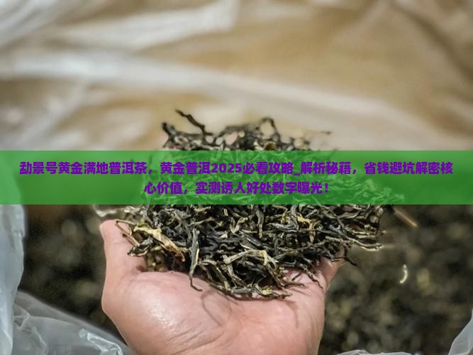 勐景号黄金满地普洱茶