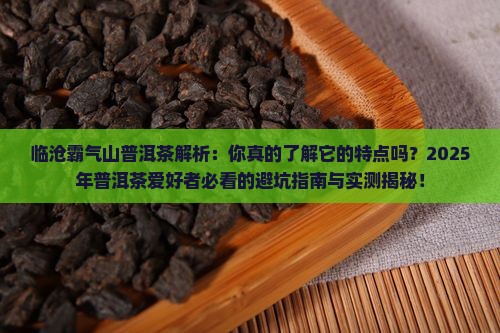 临沧霸气山普洱茶的特点
