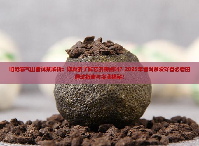 临沧霸气山普洱茶的特点