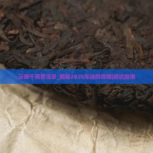 云南千两普洱茶