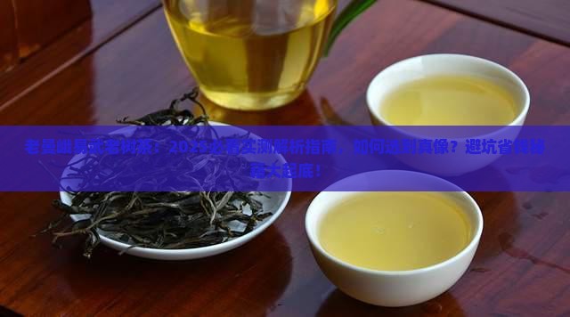 老曼峨易武老树茶