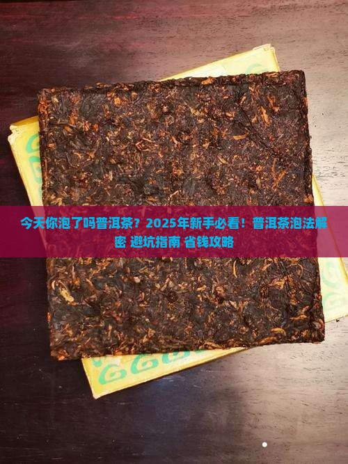 今天你泡了吗普洱茶