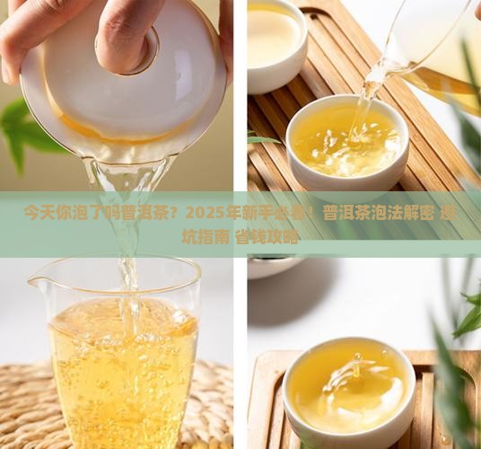 今天你泡了吗普洱茶