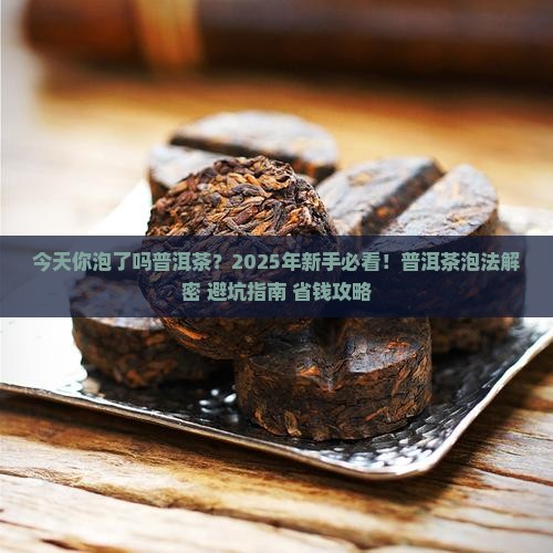 今天你泡了吗普洱茶