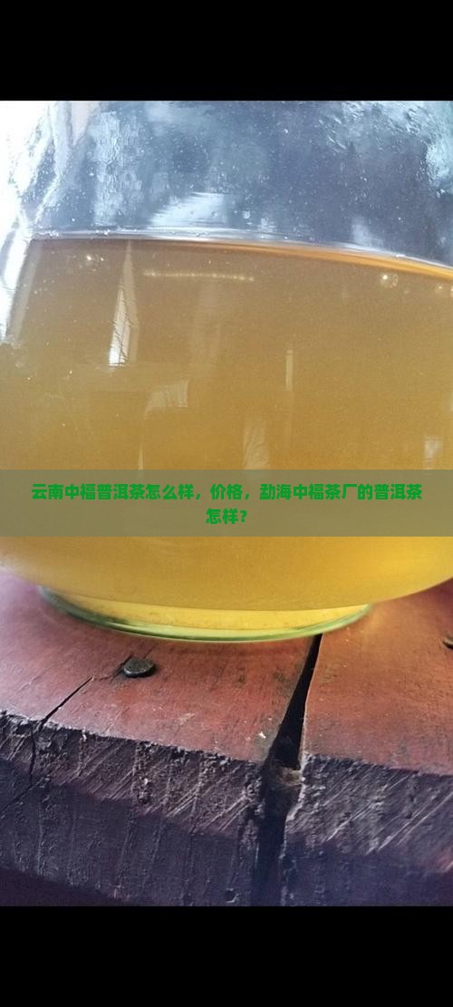 云南中福普洱茶