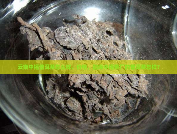 云南中福普洱茶