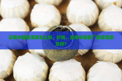 云南中福普洱茶
